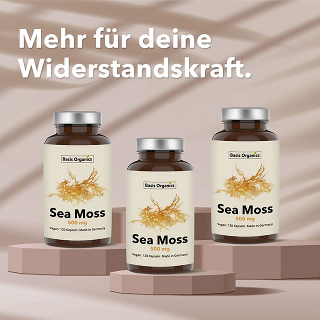 Social Media Grafiken erstellen lassen – Referenz für ein eCommerce-Produktbild für Instagram, optimiert für Instagram, Facebook und LinkedIn.