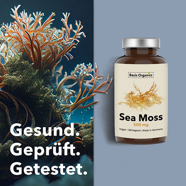 Social Media Grafiken erstellen lassen – Referenz für ein eCommerce-Produktbild für Instagram, optimiert für Instagram, Facebook und LinkedIn.